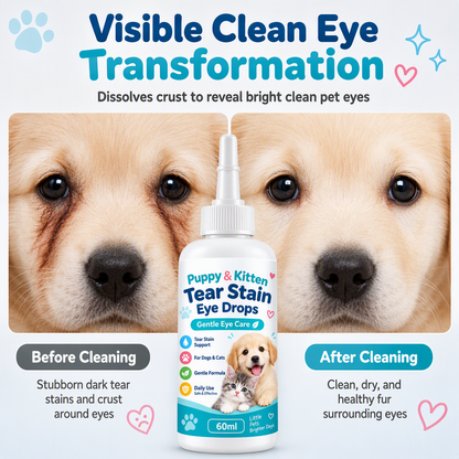 🐾 Pet Tear Stain Remover Eye Drops — Gentle Formula, Precision Tip & Tear Stain Care | Brighter Eyes. Easier Care. ✨
